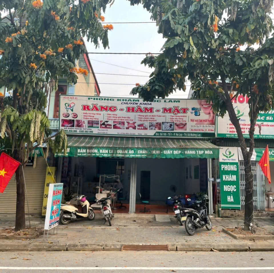 Nha Khoa Trúc Lâm