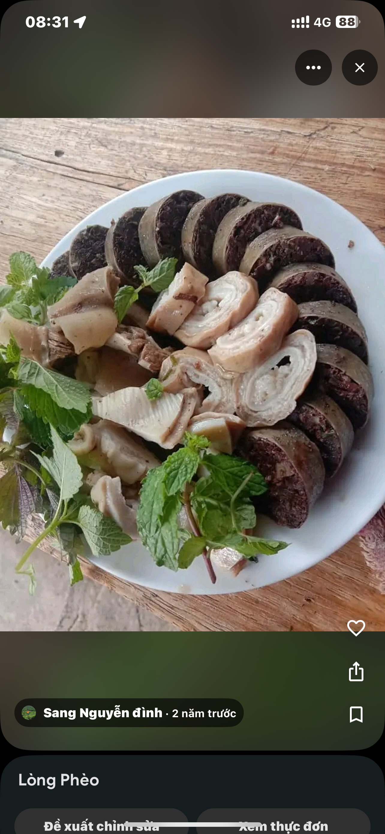 Lòng dồi