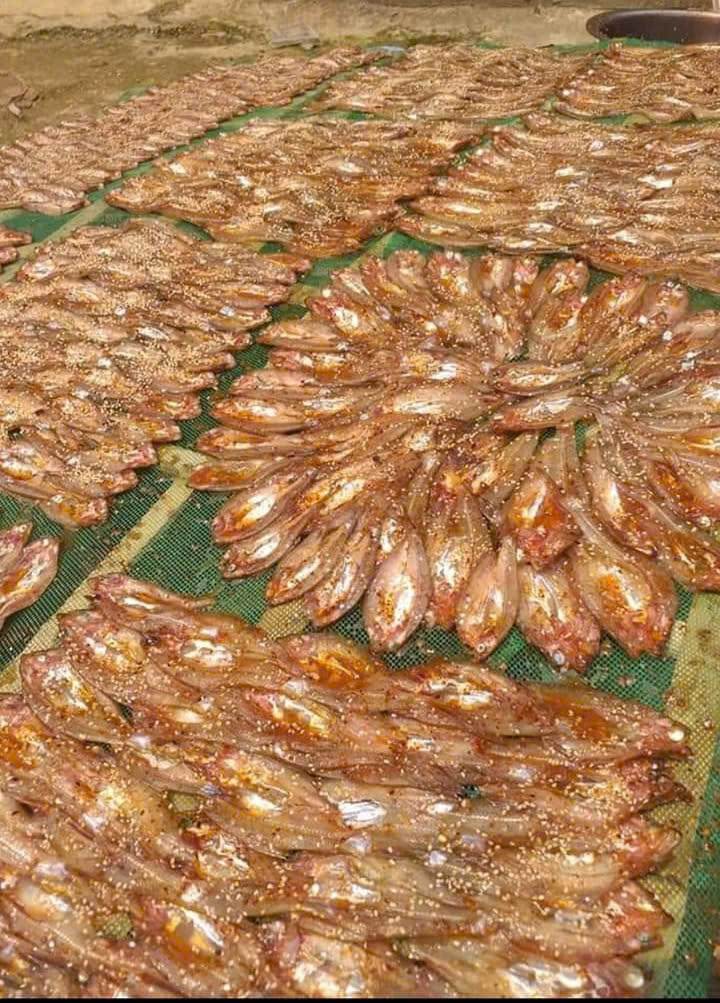 Cá tép dầu sấy